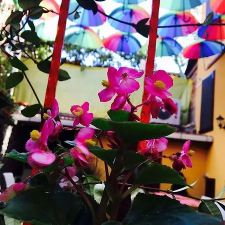 Tirilye Evi Maison d'hôtes